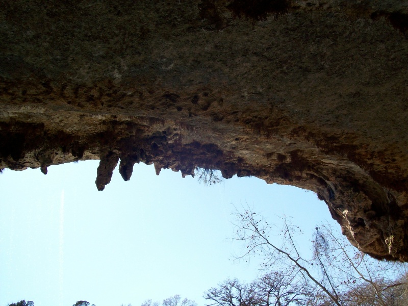 2010/03(Mar)/Hike to Hamilton Pool with Rhonda Troll/800x600_2010-03-12-Hamilton Pool-29.jpg